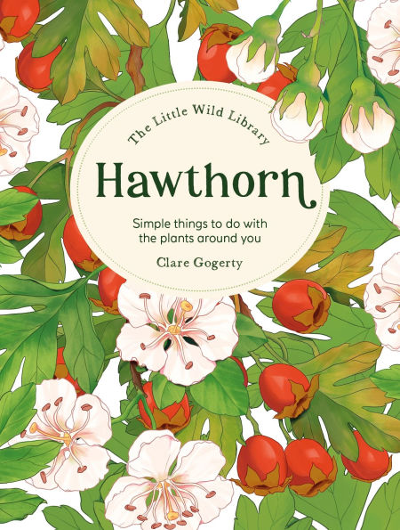the Little Wild Library: Hawthorn: Simple things to do with plants around you.