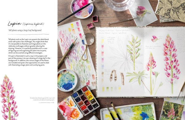 Sketching Nature: The Beginner's Guide to Keeping a Botanical Sketchbook