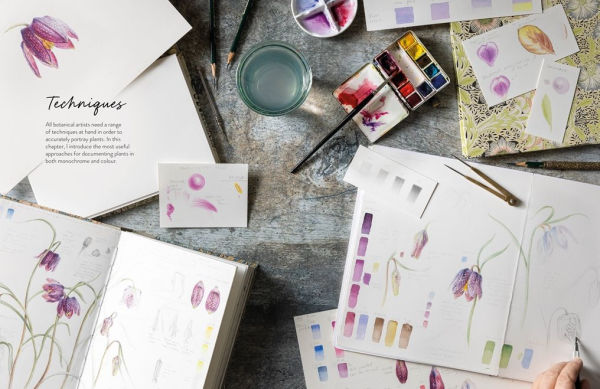 Sketching Nature: The Beginner's Guide to Keeping a Botanical Sketchbook