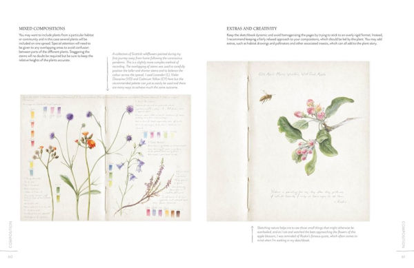 Sketching Nature: The Beginner's Guide to Keeping a Botanical Sketchbook