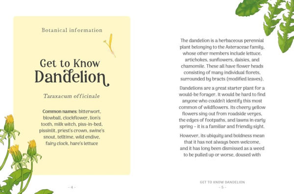 the Little Wild Library: Dandelion: Simple things to do with plants around you.