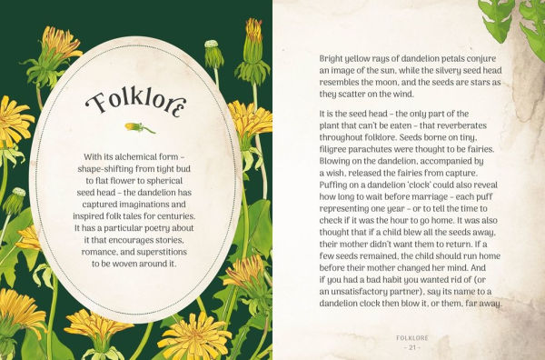 the Little Wild Library: Dandelion: Simple things to do with plants around you.