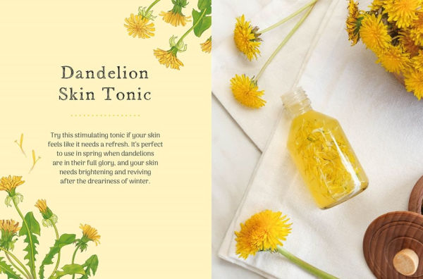 the Little Wild Library: Dandelion: Simple things to do with plants around you.