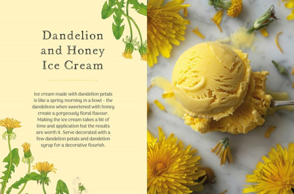 the Little Wild Library: Dandelion: Simple things to do with plants around you.