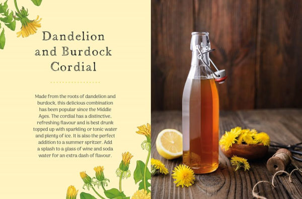 the Little Wild Library: Dandelion: Simple things to do with plants around you.