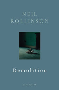 Title: Demolition, Author: Neil Rollinson