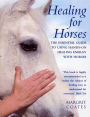 Healing For Horses