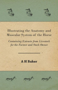 Title: Illustrating the Anatomy and Muscular System of the Horse - Containing Extracts from Livestock for the Farmer and Stock Owner, Author: A H Baker