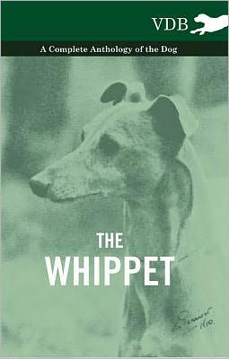 The Whippet - A Complete Anthology of the Dog