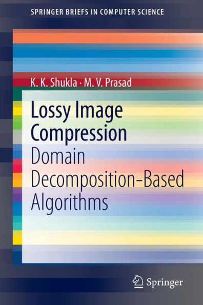 Lossy Image Compression: Domain Decomposition-Based Algorithms