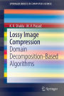 Lossy Image Compression: Domain Decomposition-Based Algorithms