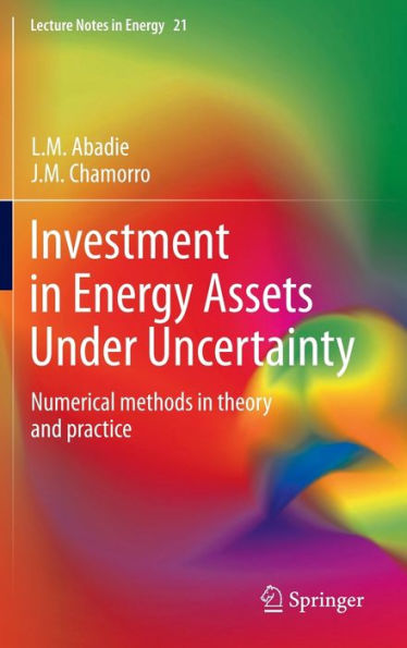 Investment Energy Assets Under Uncertainty: Numerical methods theory and practice