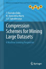 Compression Schemes for Mining Large Datasets: A Machine Learning Perspective