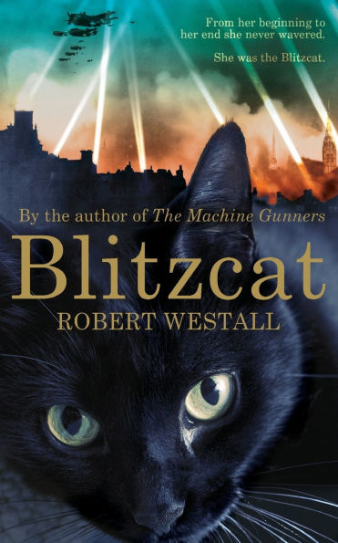 Blitzcat