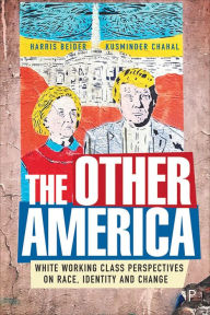Title: The Other America: White Working Class Perspectives on Race, Identity and Change, Author: Harris Beider