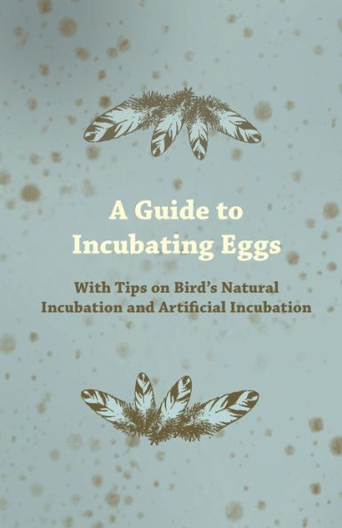 A Guide to Incubating Eggs - With Tips on Bird's Natural Incubation and Artificial