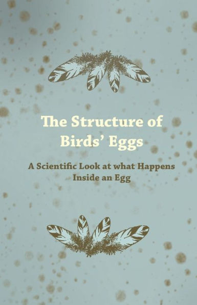 The Structure of Birds' Eggs - A Scientific Look at what Happens Inside an Egg