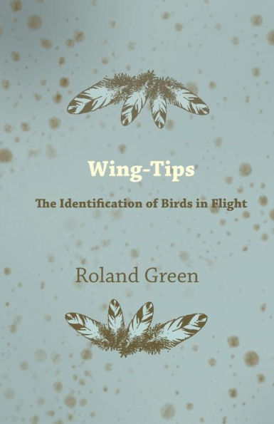 Wing-Tips - The Identification of Birds in Flight