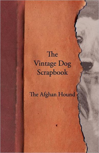 The Vintage Dog Scrapbook - The Afghan Hound