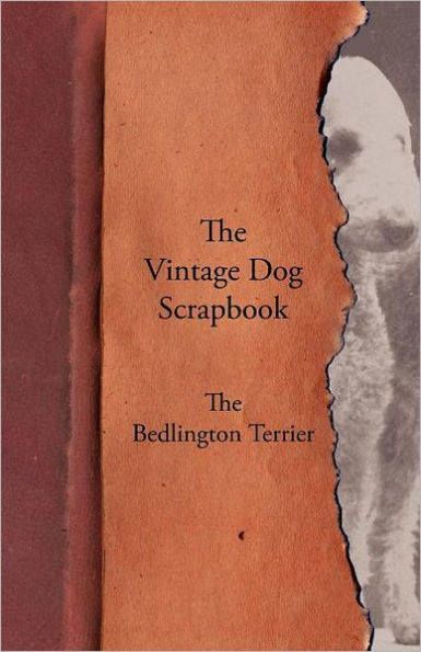 The Vintage Dog Scrapbook - Bedlington Terrier