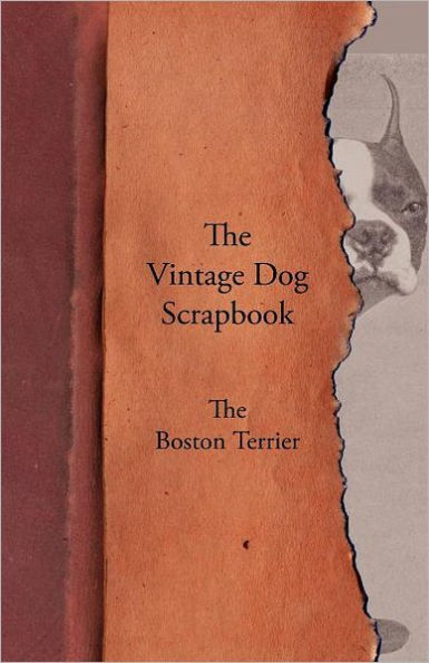 The Vintage Dog Scrapbook - Boston Terrier