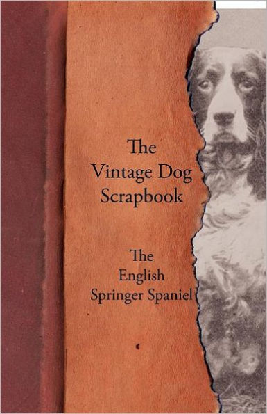 The Vintage Dog Scrapbook - English Springer Spaniel