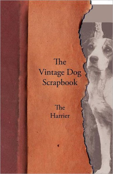The Vintage Dog Scrapbook - The Harrier