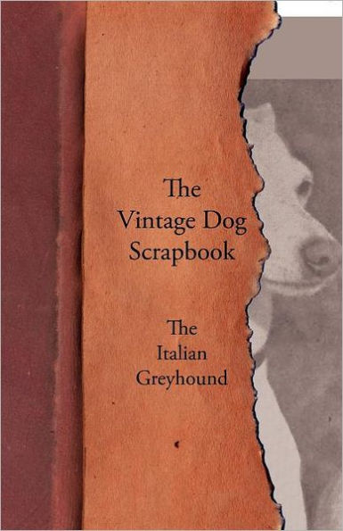 The Vintage Dog Scrapbook - Italian Greyhound