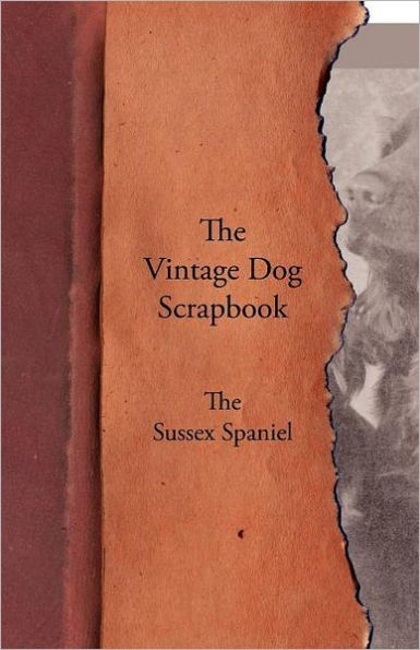 The Vintage Dog Scrapbook - The Sussex Spaniel