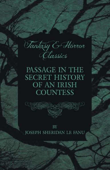 Passage the Secret History of an Irish Countess