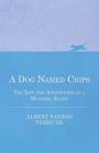A Dog Named Chips - The Life and Adventures of a Mongrel Scamp