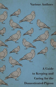 Title: A Guide to Keeping and Caring for the Domesticated Pigeon, Author: Various