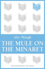 The Mule on the Minaret: A Novel about the Middle East