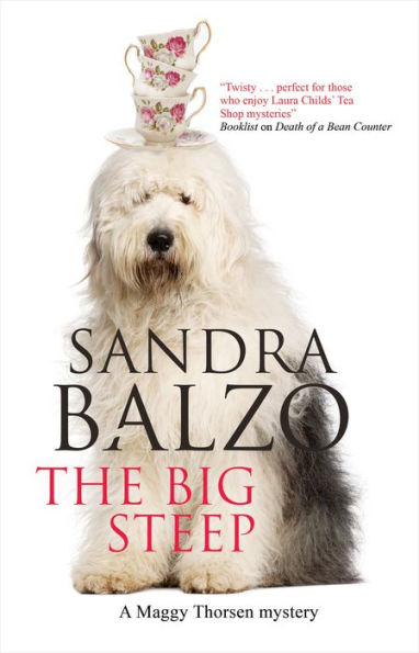 The Big Steep (Maggy Thorsen Series #14)