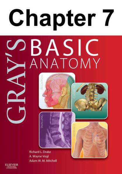 Upper Limb: Chapter 7 of Gray's Basic Anatomy