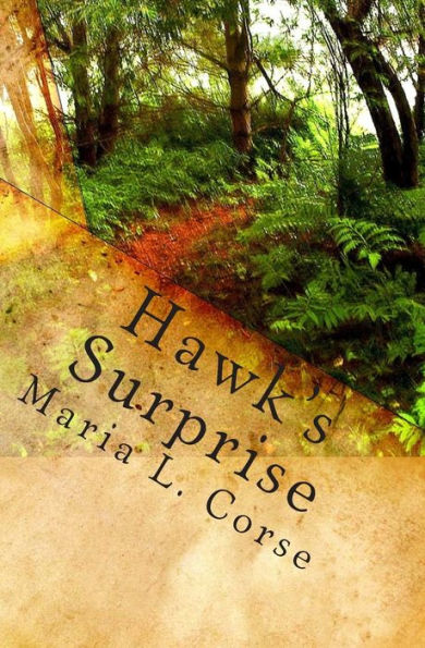 Hawks Surprise: Book One in the School House Gang Series