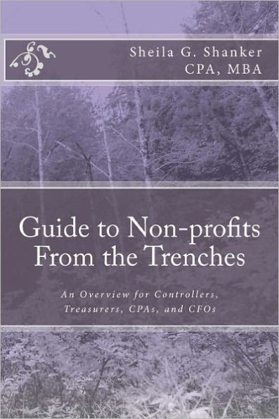 Guide to Non-profits- From the Trenches: An Overview for Controllers, Treasurers, CPAs and CFOs