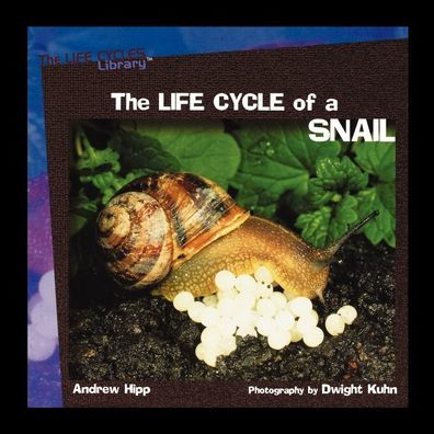 The Life Cycles of a Snail