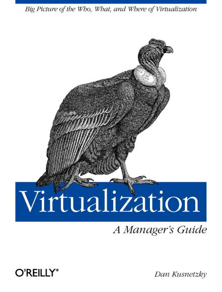 Virtualization: A Manager's Guide: Big Picture of the Who, What, and Where Virtualization