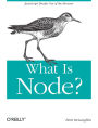 What Is Node?