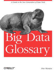 Big Data Glossary