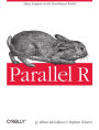Alternative view 2 of Parallel R: Data Analysis in the Distributed World