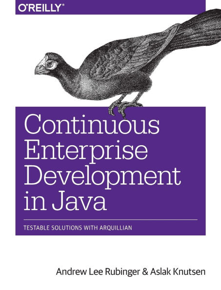 Continuous Enterprise Development Java