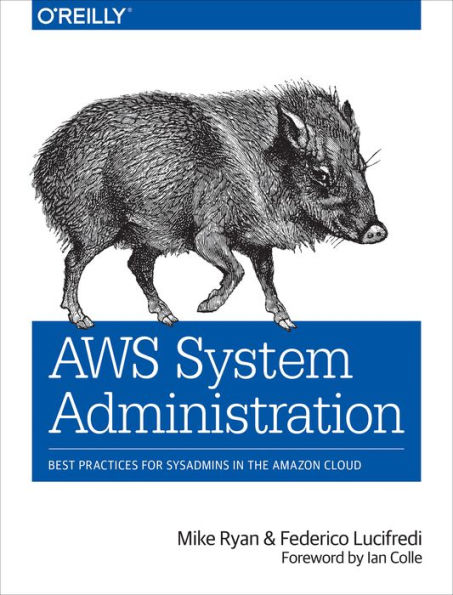 AWS System Administration: Best Practices for Sysadmins in the Amazon Cloud / Edition 1