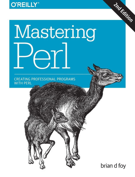 Mastering Perl: Creating Professional Programs with Perl