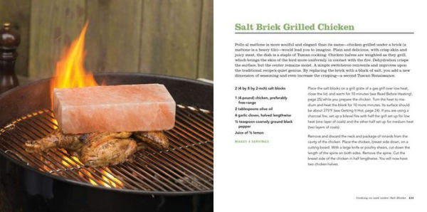 Salt Block Cooking: 70 Recipes for Grilling, Chilling, Searing, and Serving on Himalayan Salt Blocks [Book]