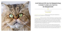 Alternative view 3 of Stink Outside the Box: Life Advice from Kitty