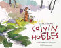 Exploring Calvin and Hobbes: An Exhibition Catalogue