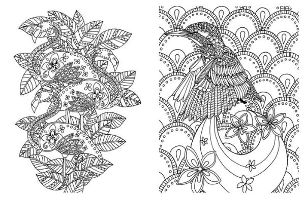 Posh Adult Coloring Book: Soothing Designs for Fun & Relaxation