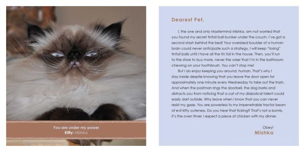 Sorry I Slept on Your Face: Breakup Letters from Kitties Who Like You but Don't Like-Like You